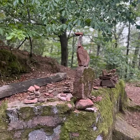 En Lisière De Forêt Appartement Wingen-sur-Moder