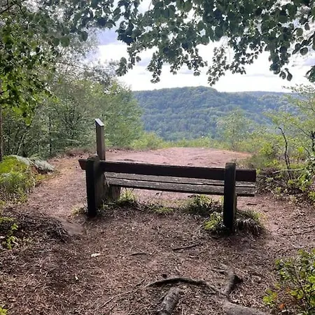 公寓 En Lisiere De Foret Wingen-sur-Moder