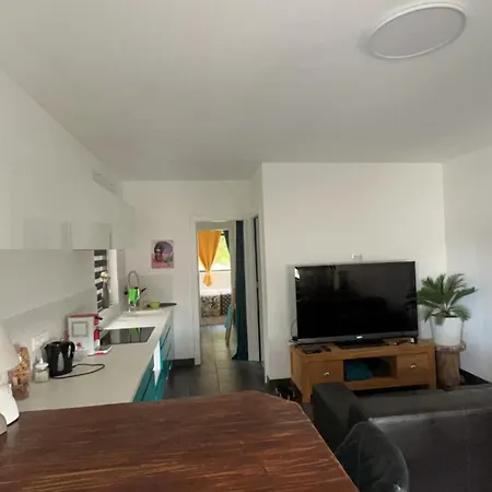 En Lisiere De Foret Apartment Wingen-sur-Moder